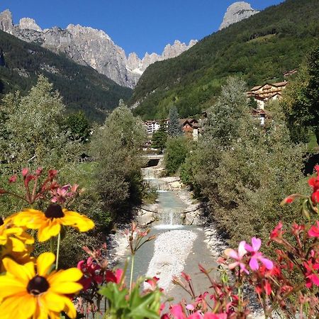 Villa Ginestra Molveno Bilik gambar