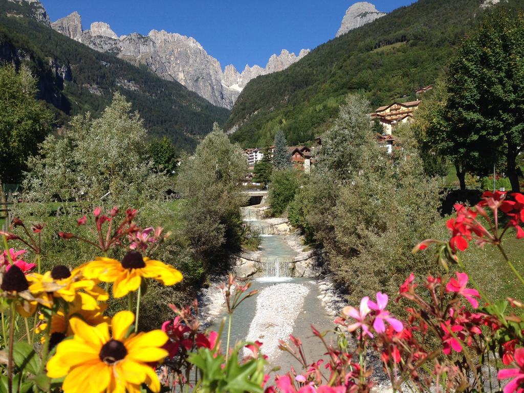 Villa Ginestra Molveno Bilik gambar